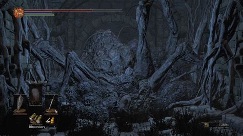Finally Spoke to the Fair Lady : r/darksouls .
